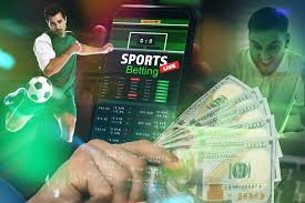 Explore Betwinner Your Premier Sports Betting Destination Explore Betwinner Your Premier Sports Betting Destination